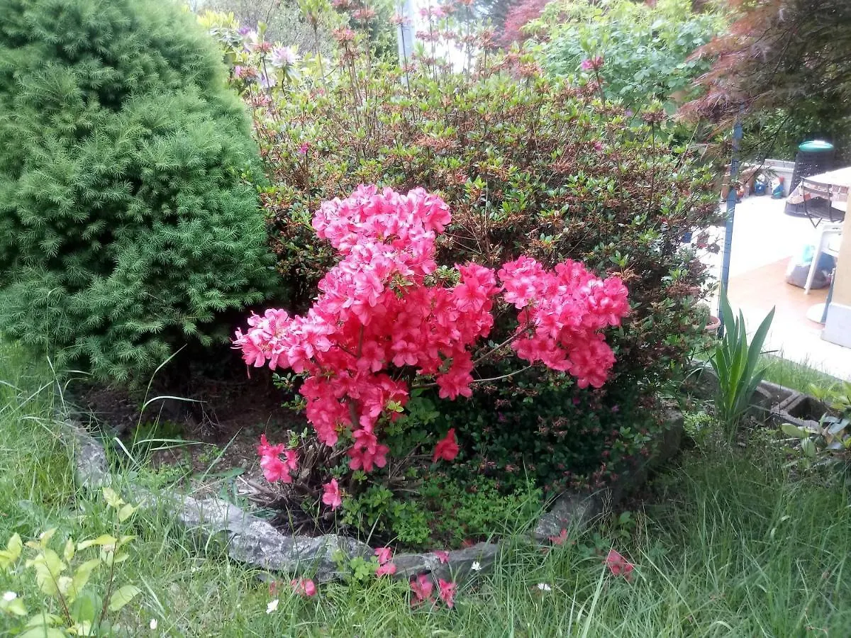 House Yanina Apartman Bellano Olaszország