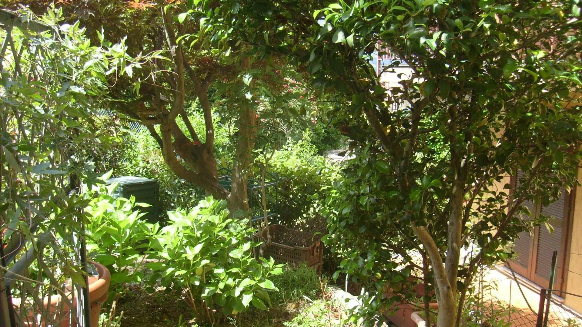 House Yanina Apartment Bellano